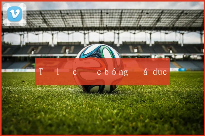 Tỉ lệ cược bóng đá duc