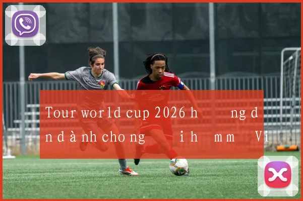 Tour world cup 2026 hướng dẫn dành cho người hâm mộ Việt